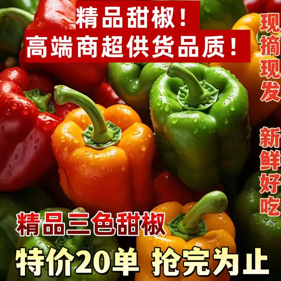 精品甜椒 黄色脆甜椒彩椒农家自种甜口不辣生吃水果椒代餐维C
