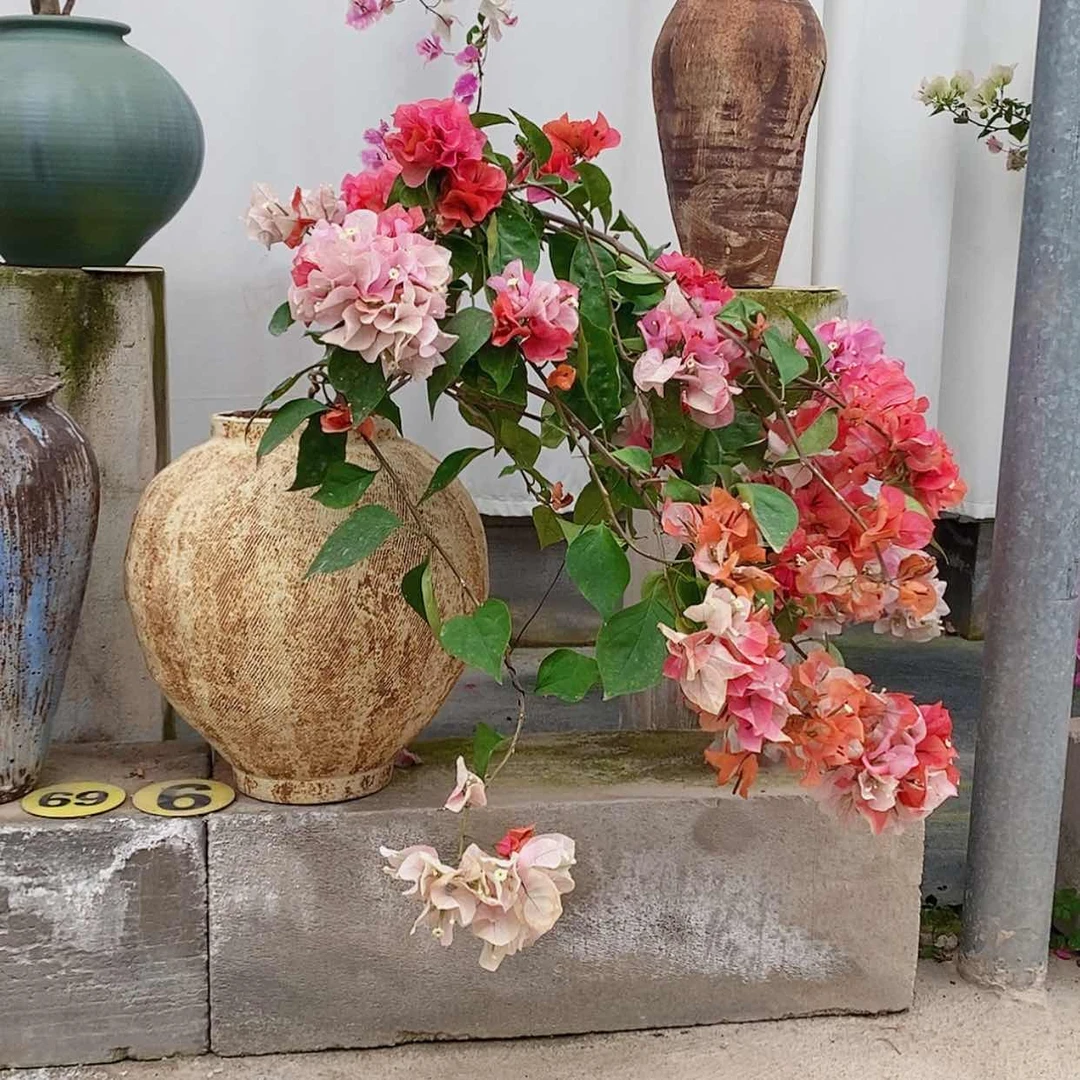 【闪购商品】完全开放花*初橙口红