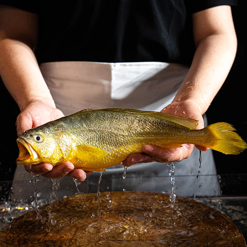 深海野化黄花鱼550-650g/条*2