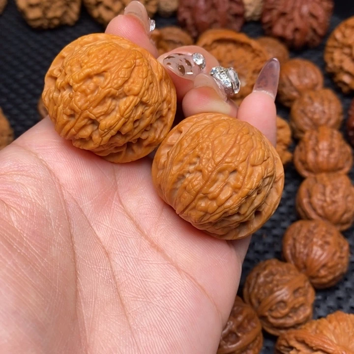 秦岭野生00000004