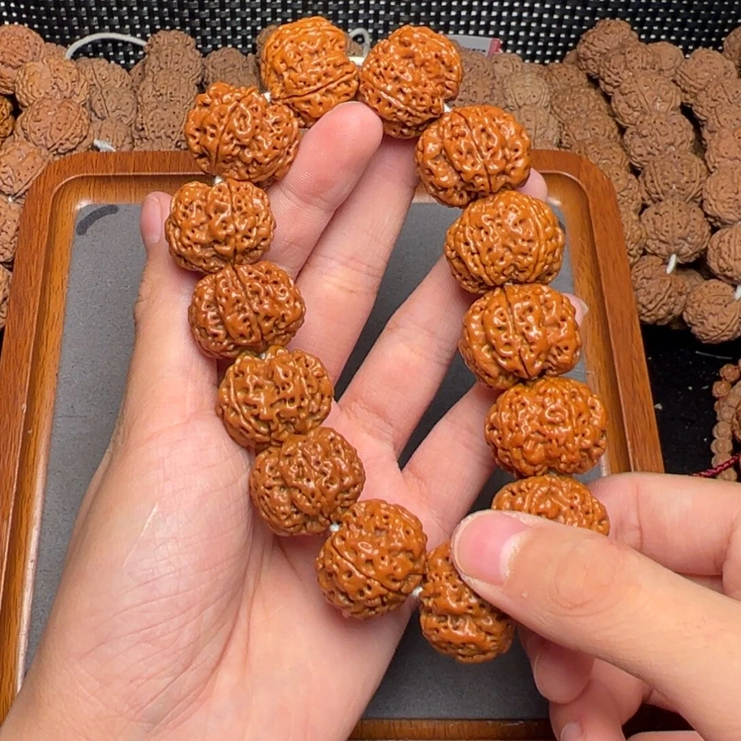 菩提5号尼泊尔大金刚24梅花