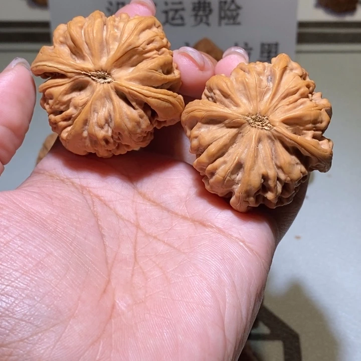 W***、核桃手串/手链九龙