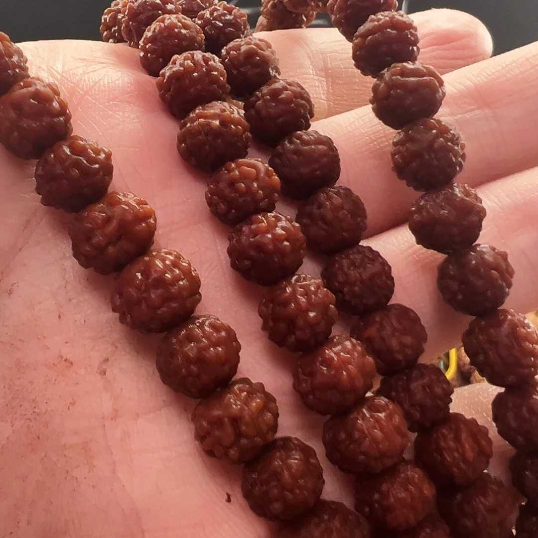 金刚菩提吊坠蛤蟆背