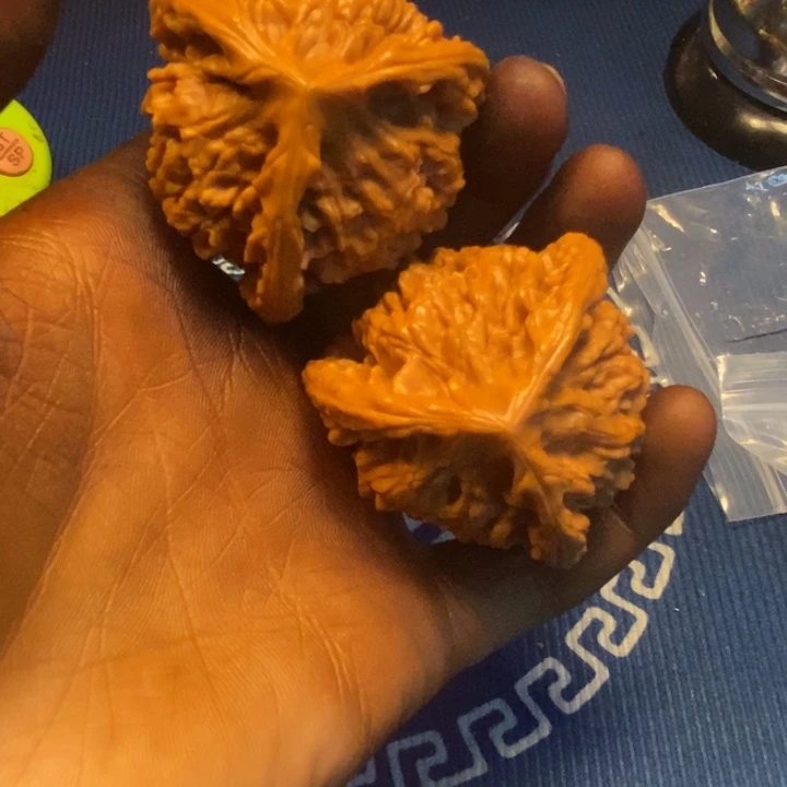 ****文玩核桃把件官帽正奔三棱大尺