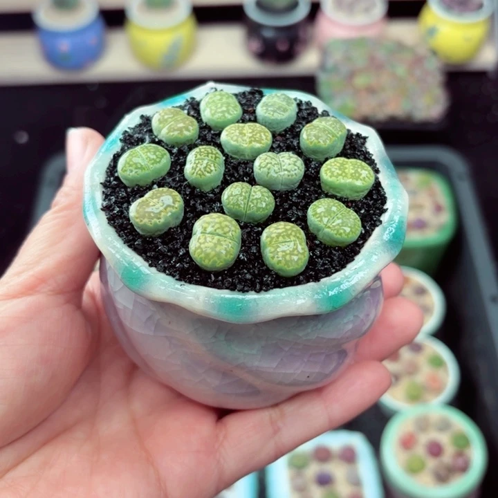 830零下地区记得拍保温箱