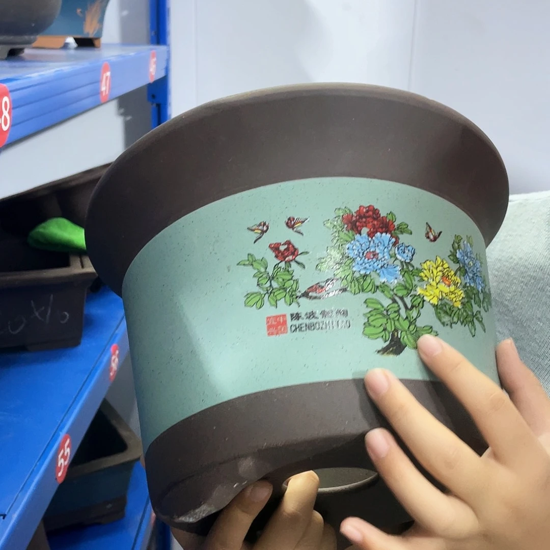 陈波绿色金钟大号一个