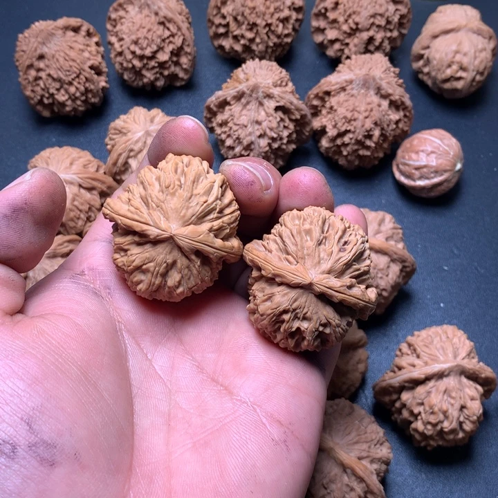 B***生把件文玩核桃39白狮子39