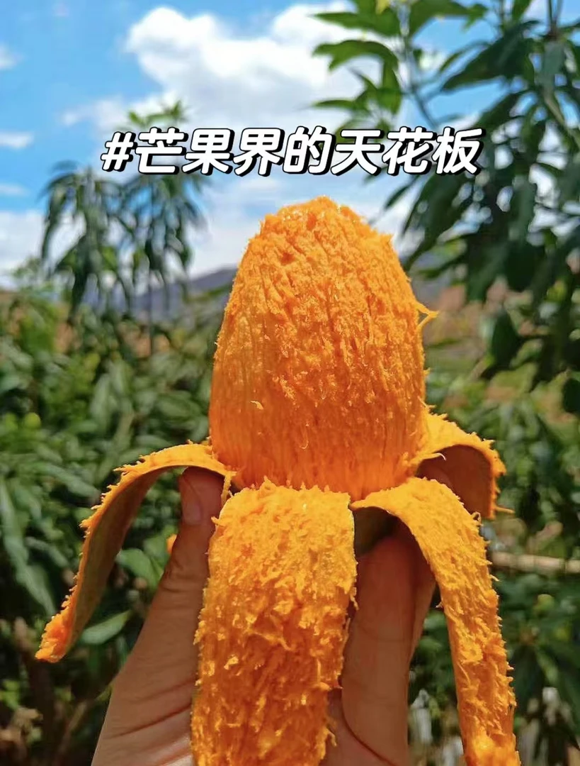 正宗覃斗沙子土鸡蛋芒果