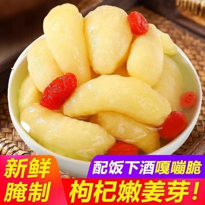 【抢三斤】新鲜腌制枸杞嫩姜芽酸甜脆口开胃下饭腌制咸菜包邮z