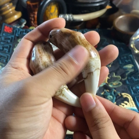 瓷片学*寻呼台的一位官员告诉记者他