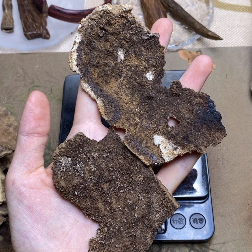 【闪购商品】香榧木海南老顶9克