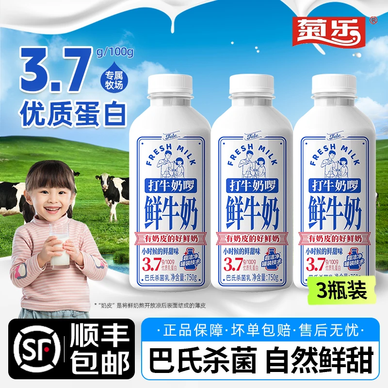 【顺丰包邮】菊乐打牛奶啰鲜牛奶3.7蛋白质低温生牛乳巴氏杀菌鲜奶