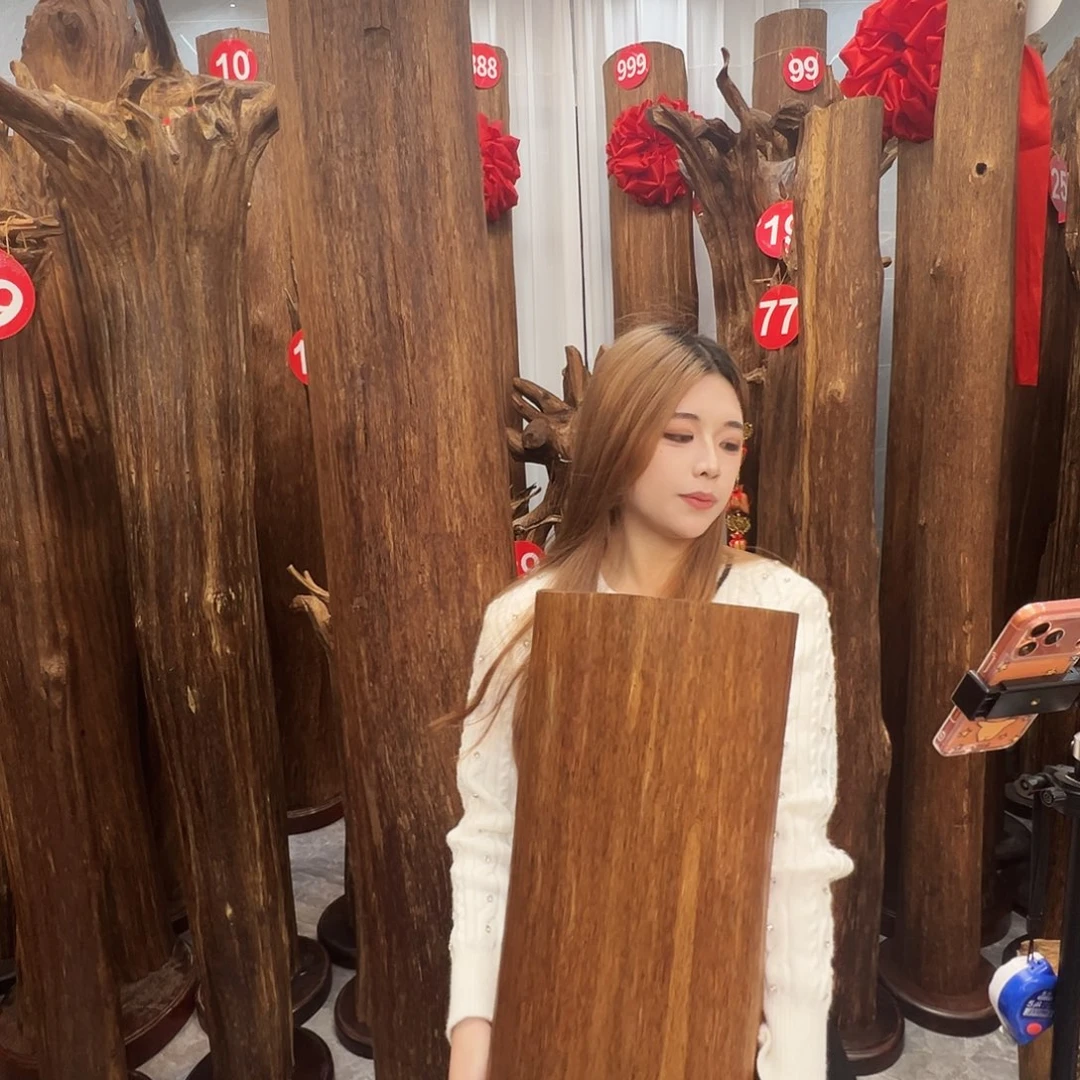 永***蒋沉香摆件沉香原料