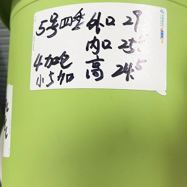 特价5号四季口29高25果绿色6个无托