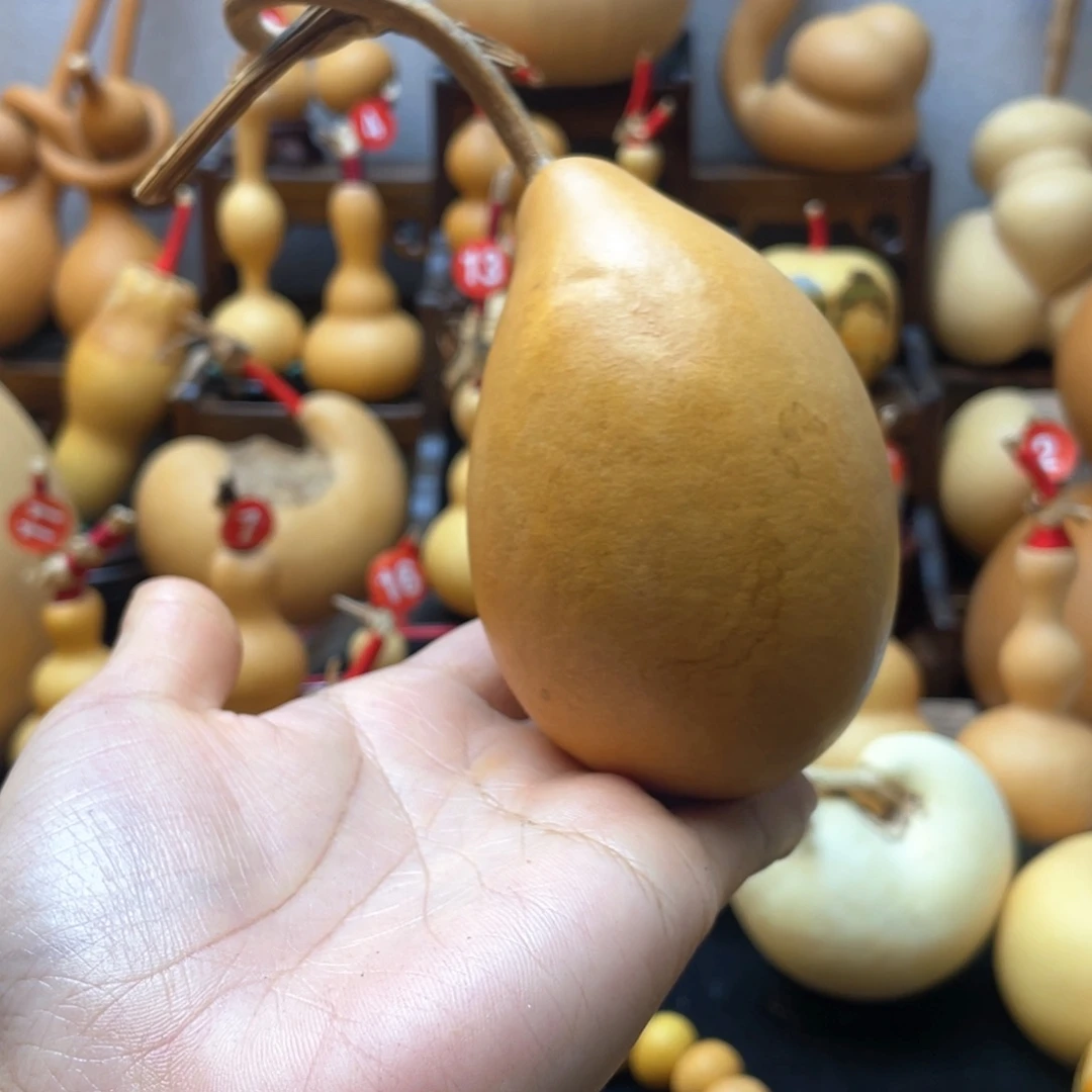 ?****、大自然的鬼斧神工使它的