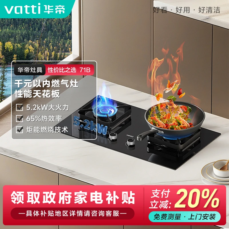 i10071b双灶两用天然气液化气煤气灶灶具燃气灶