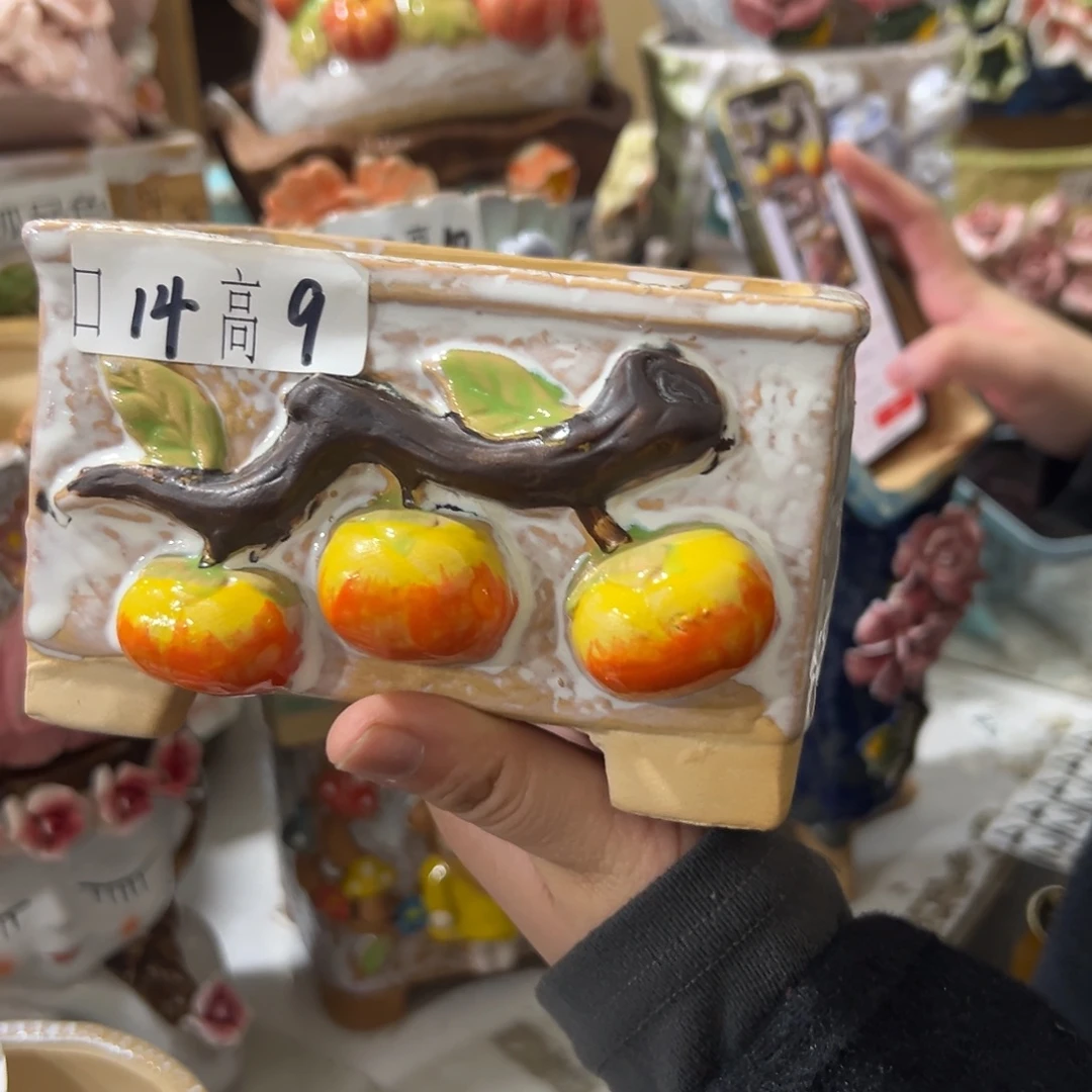 花盆，拍满20发货，退款拉黑