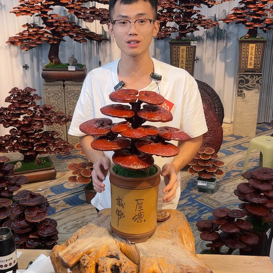 无花朵8888888888