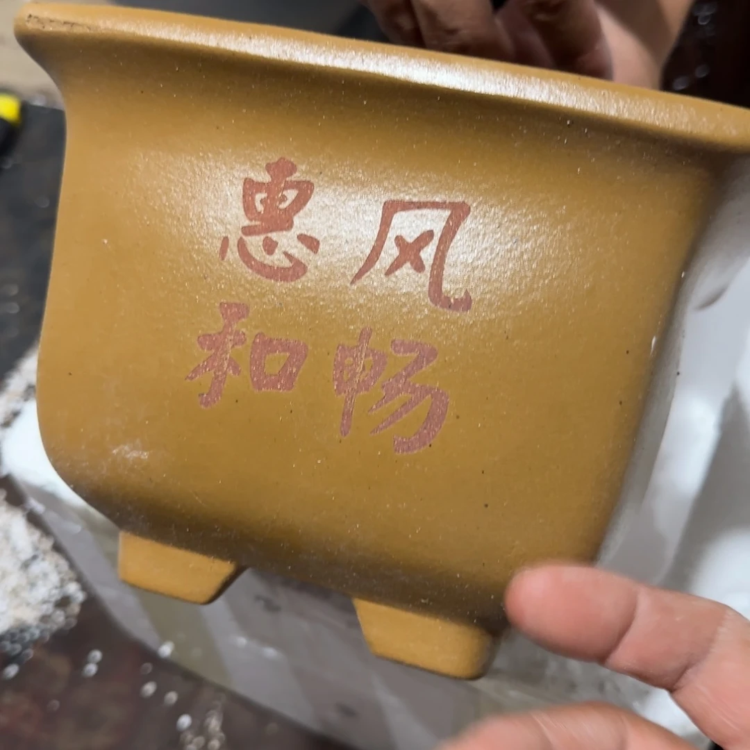 紫砂花盆口径18.13咯咯