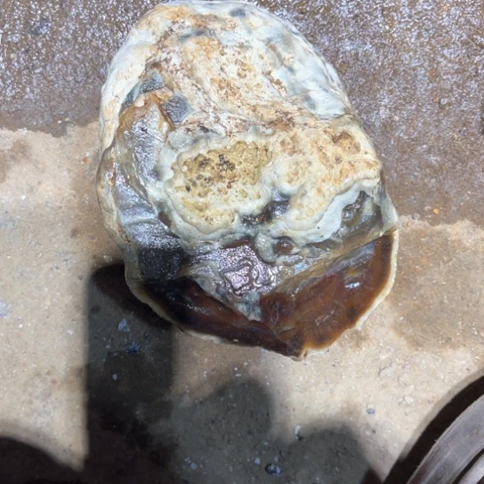 定制玛瑙若**”定制玛瑙