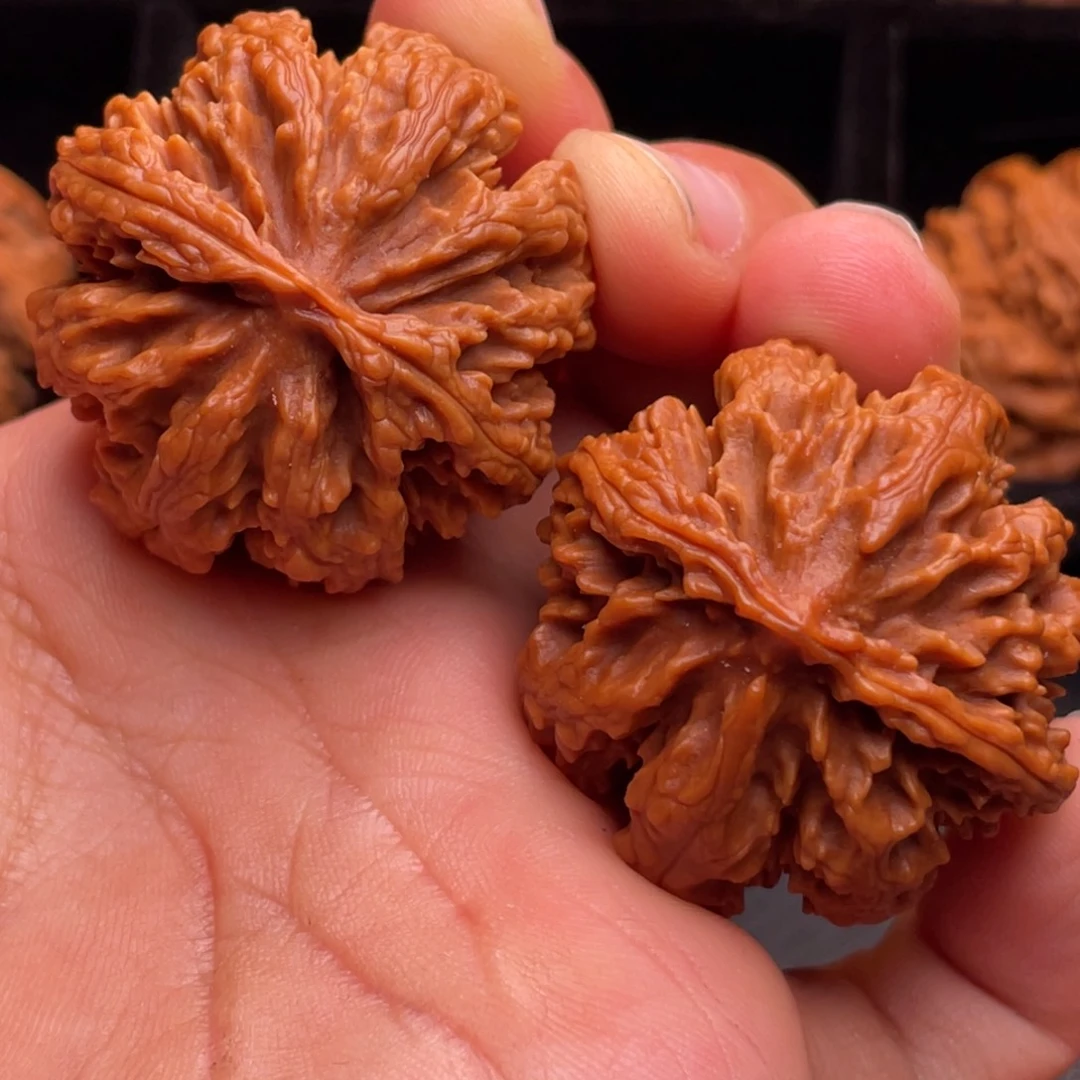 文玩核桃把件秦岭野生核桃