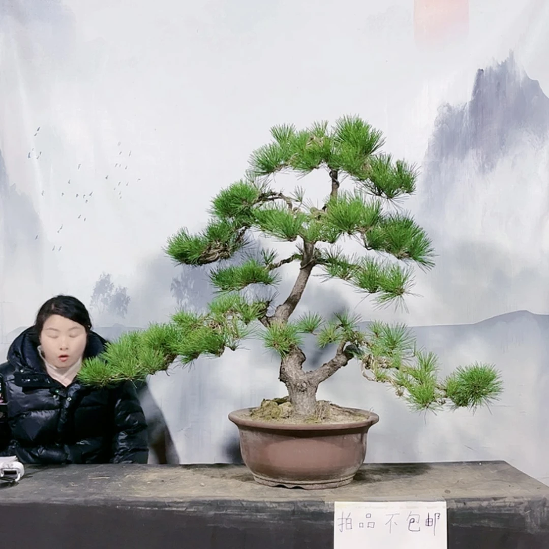 【闪购商品】无花朵运费到付