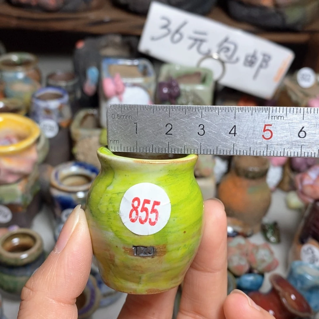 拍5送一个小礼物