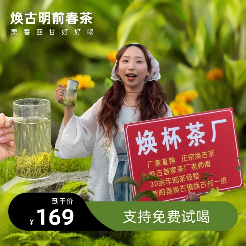 【2025年明前翠峰】焕古经典紫阳毛尖新茶明前翠峰春茶栗香绿茶