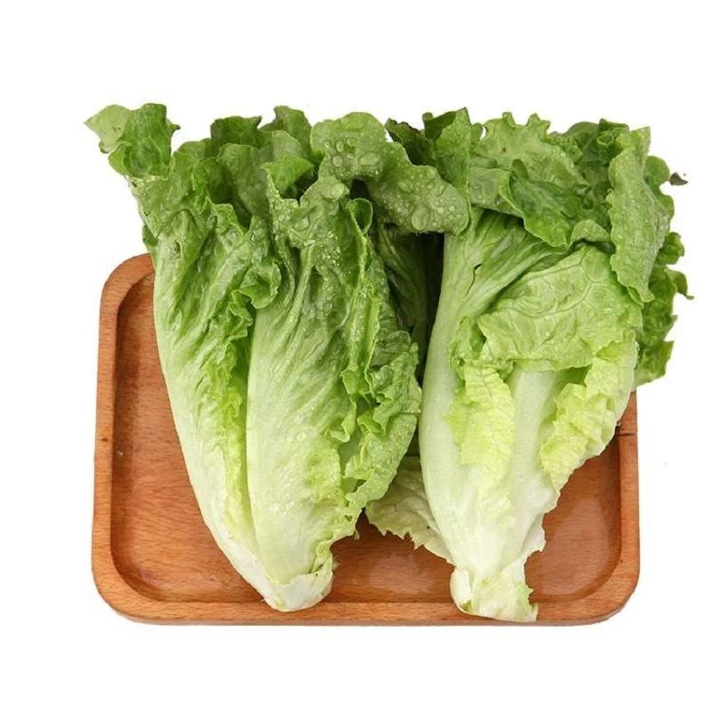 生态生菜 350g