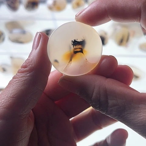 【闪购商品】玛瑙/玉髓珠宝半成品未镶嵌