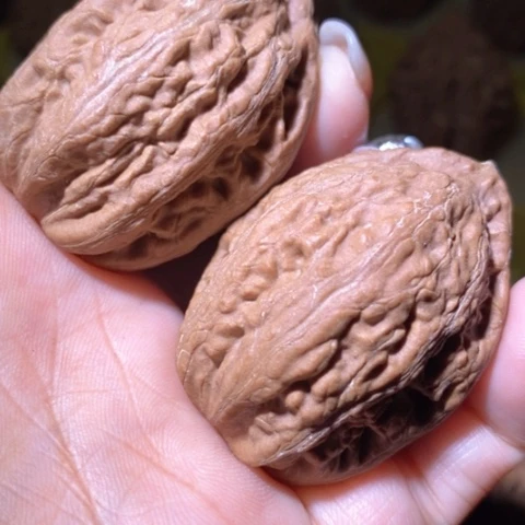 文玩核桃把件东北野生楸子小美38