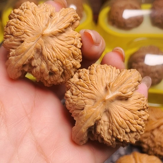 文玩核桃45尺粗棱虎头