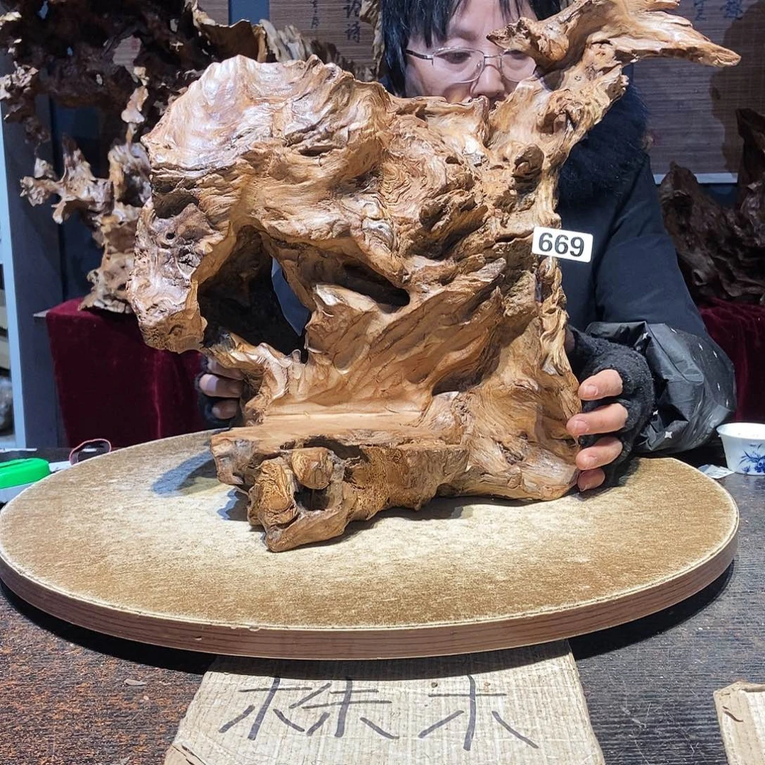 刘***奇669。株木随行根艺