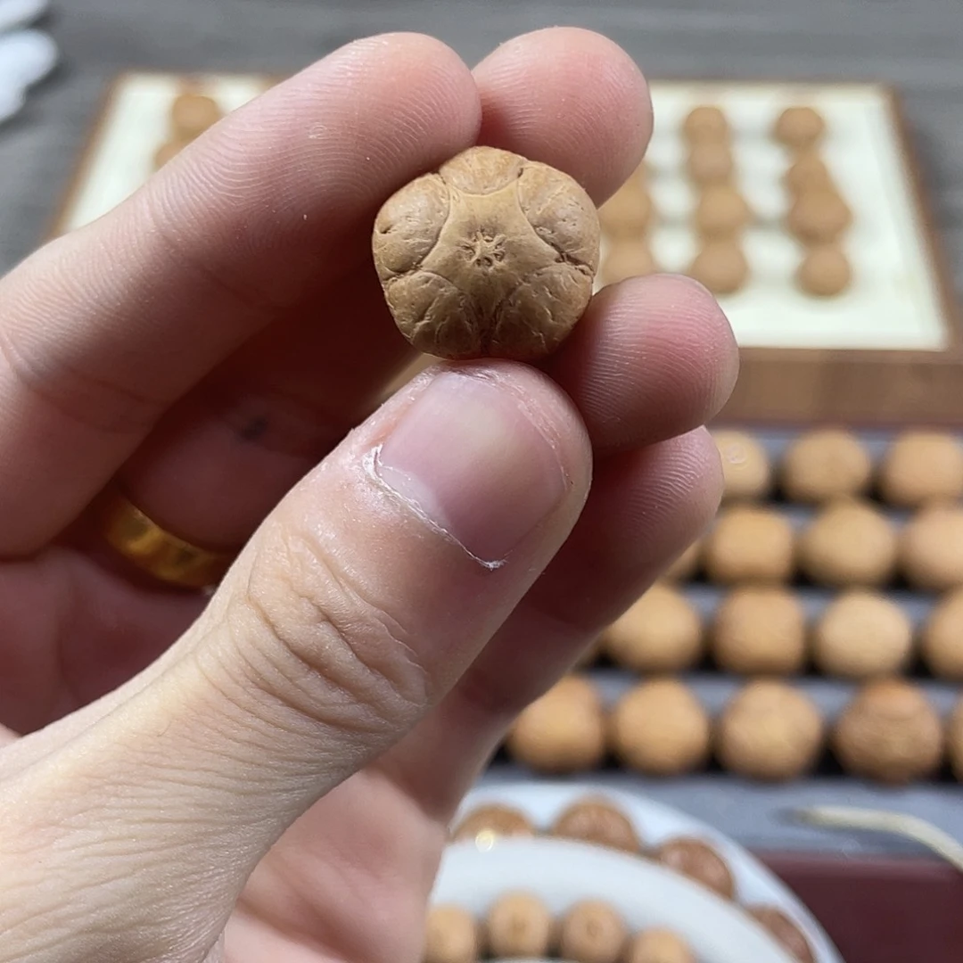 凤眼菩提吊坠凉*尼泊尔