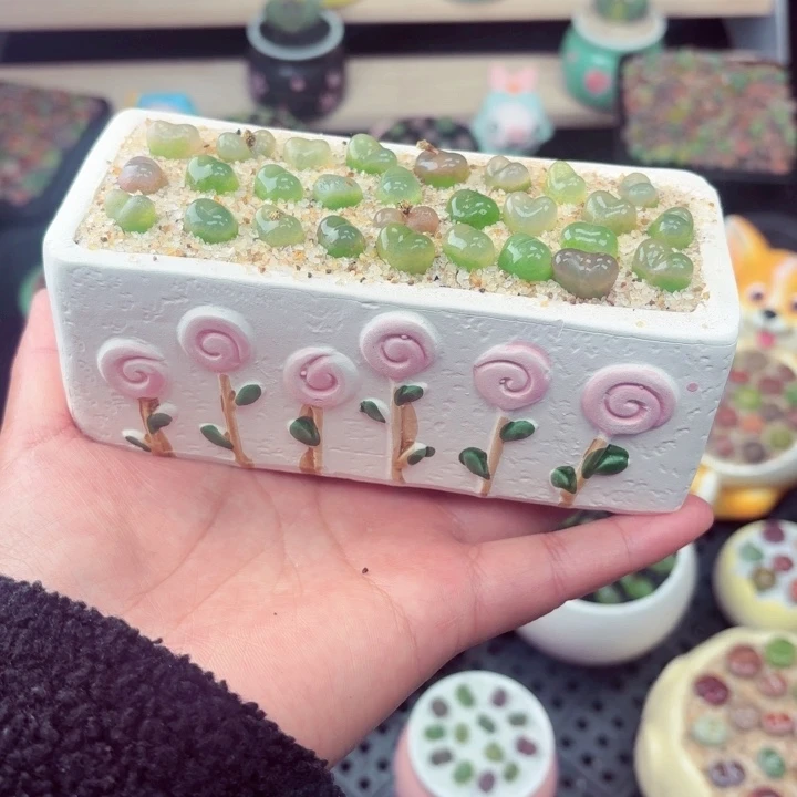 815零下地区记得拍保温箱