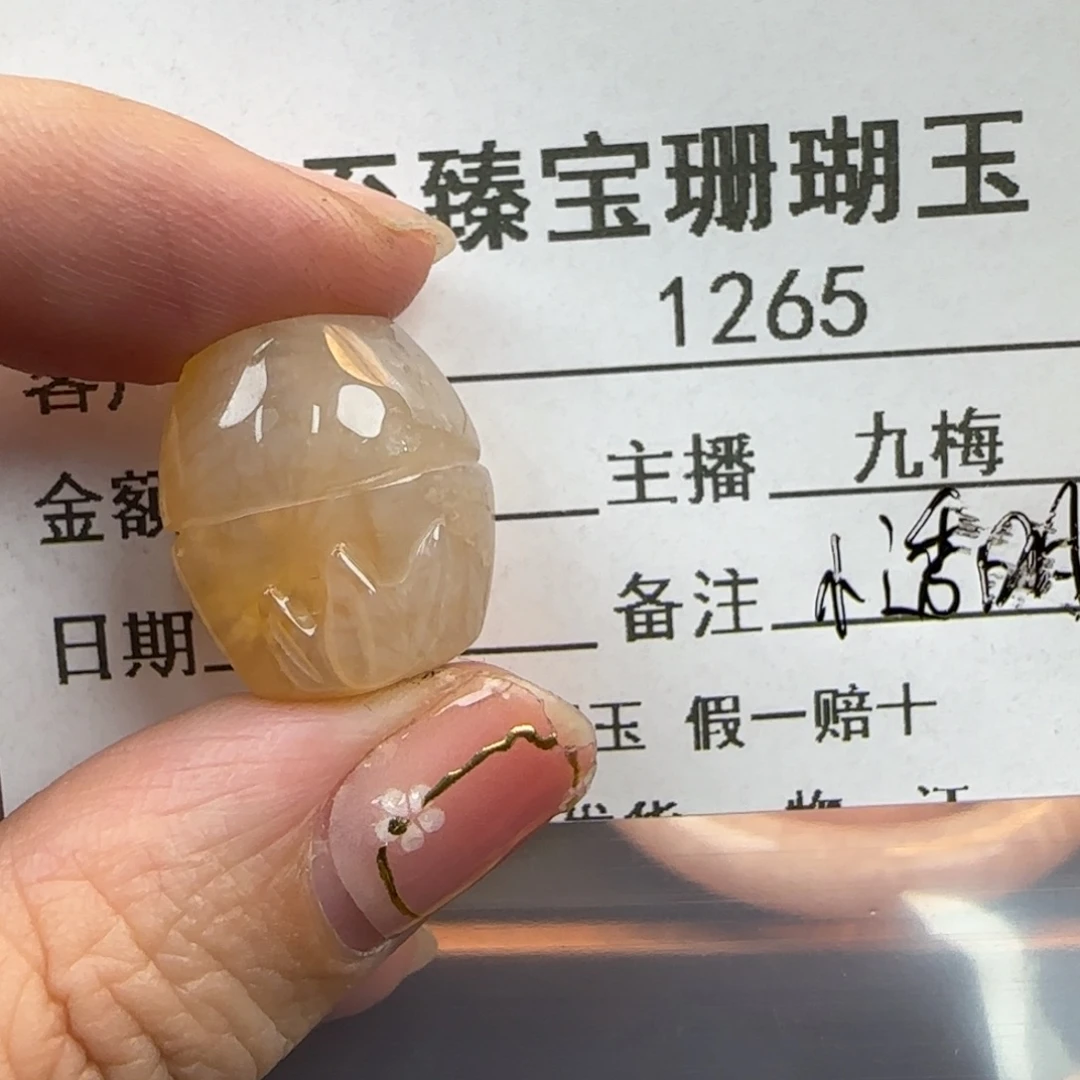 *****硅化珊瑚（珊瑚玉）未镶嵌颈饰