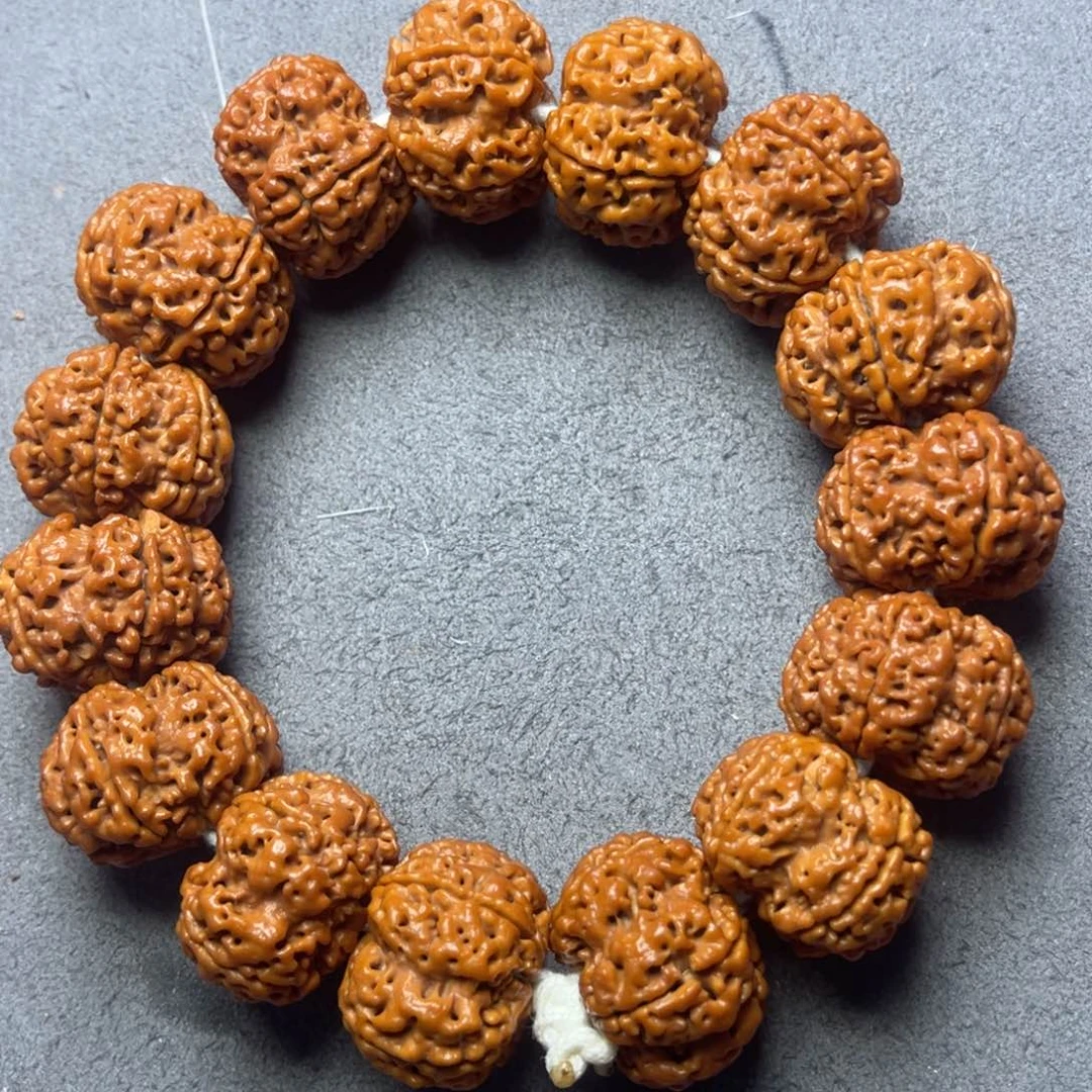 菩提10号金刚菩提原生态梅花25