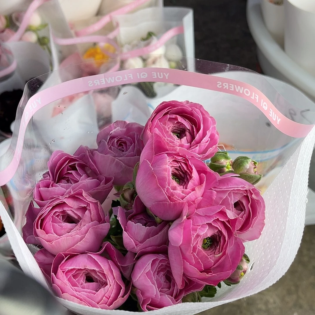 完全开放月琪（麦浪）8-10枝