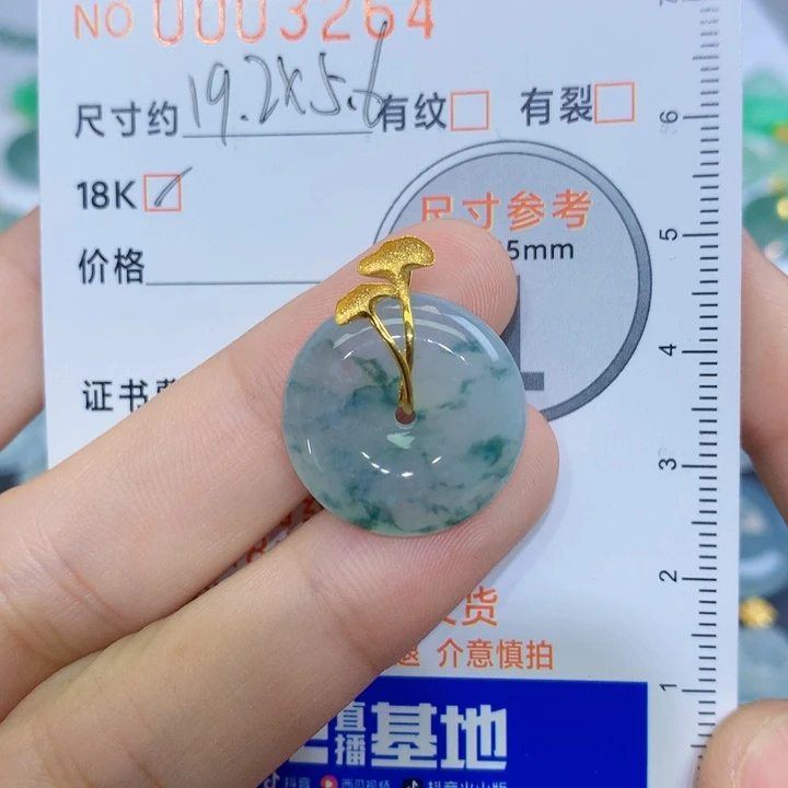 小****翡翠未镶嵌颈饰吊坠