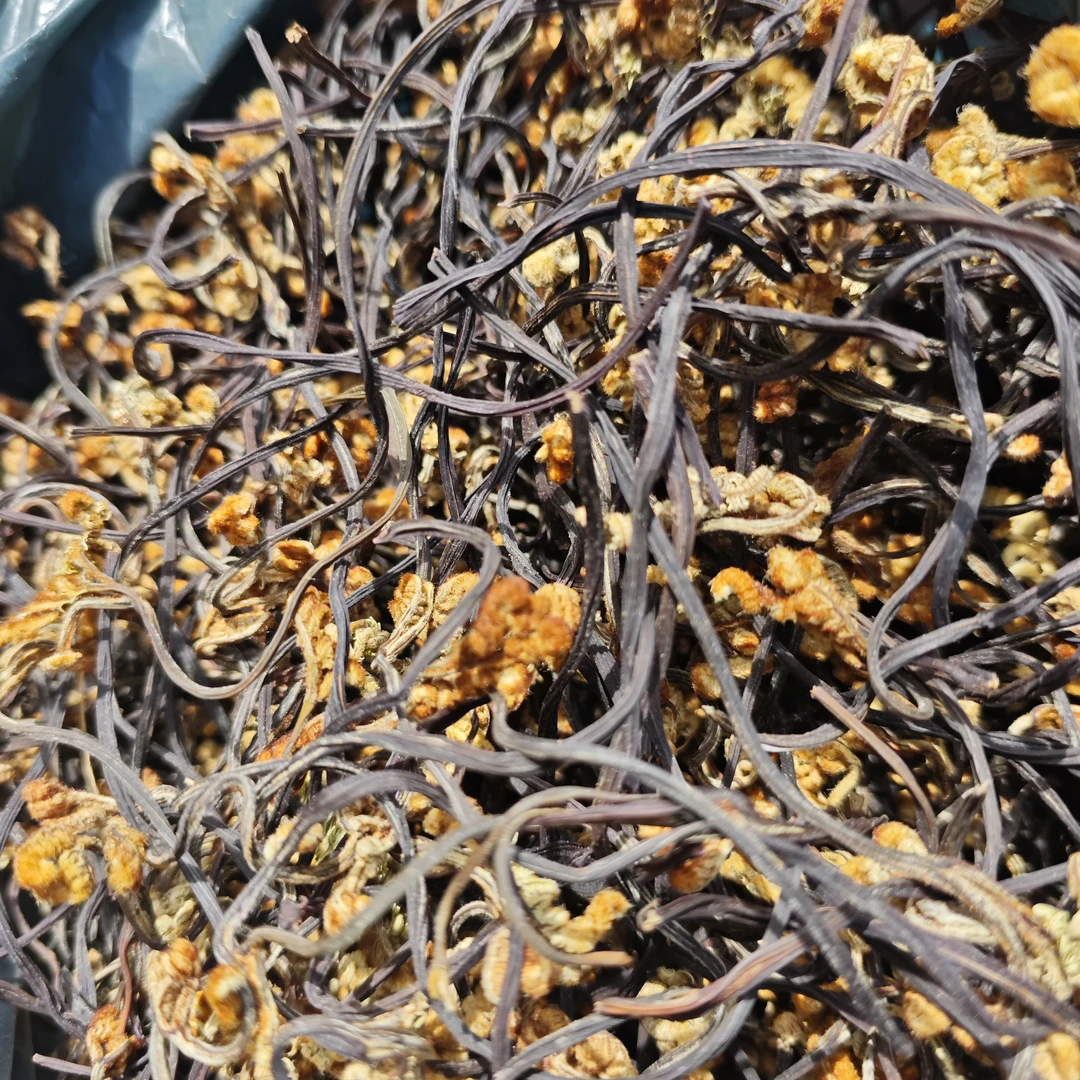 【代买山货】干蕨菜（1）