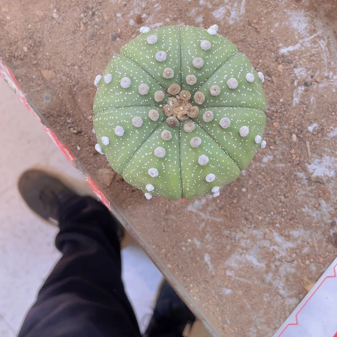 无花朵心****顺风顺水！顺风顺水