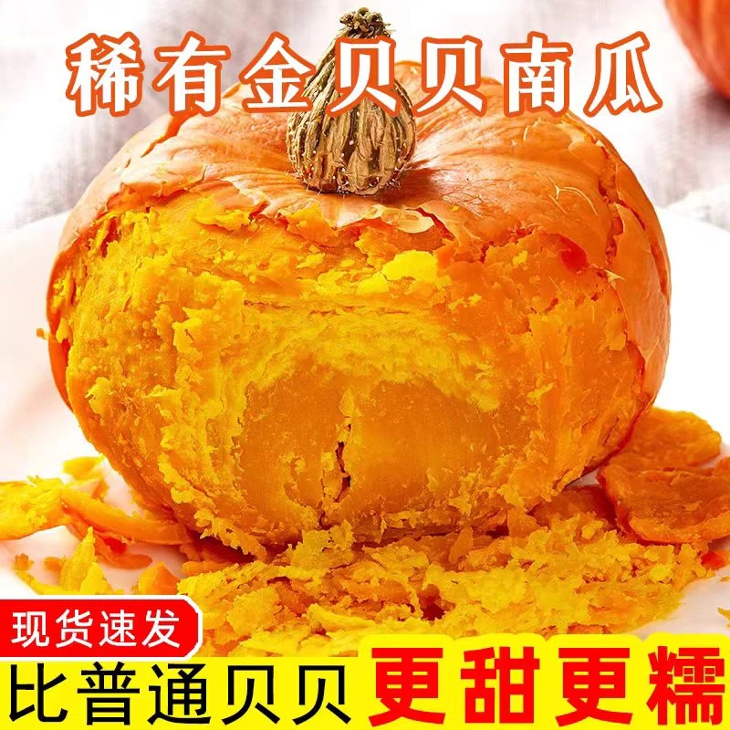 山东金贝贝南瓜粉糯香甜精选优质好果新鲜蔬菜包邮 4.5斤