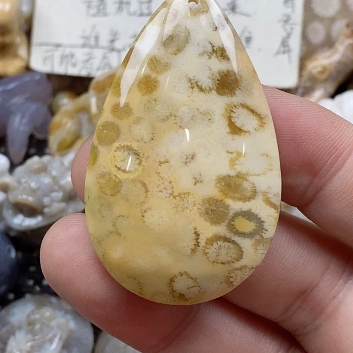 颈饰未镶嵌硅化珊瑚（珊瑚玉）