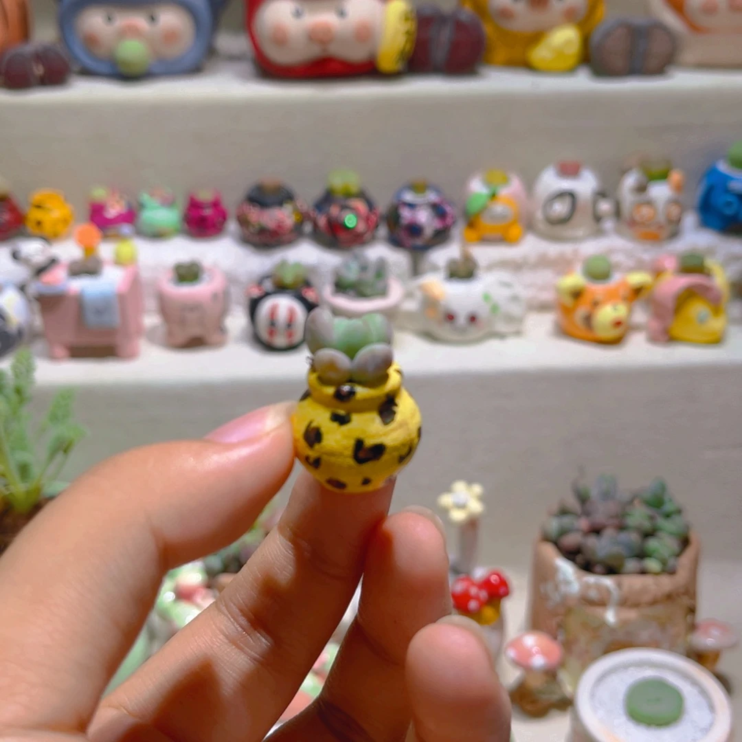 009草莓汤圆带盆带土手工盆