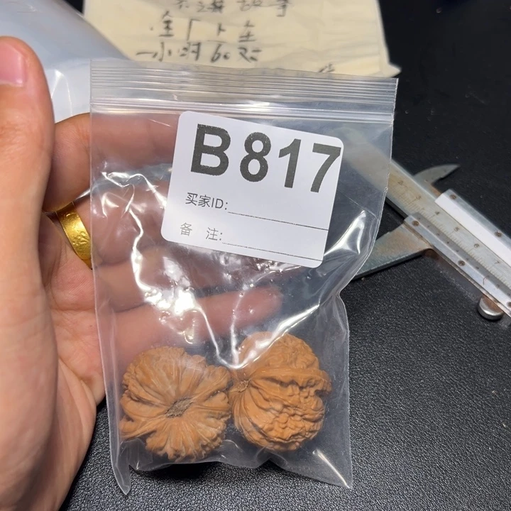哈哈哈哈我的小可爱