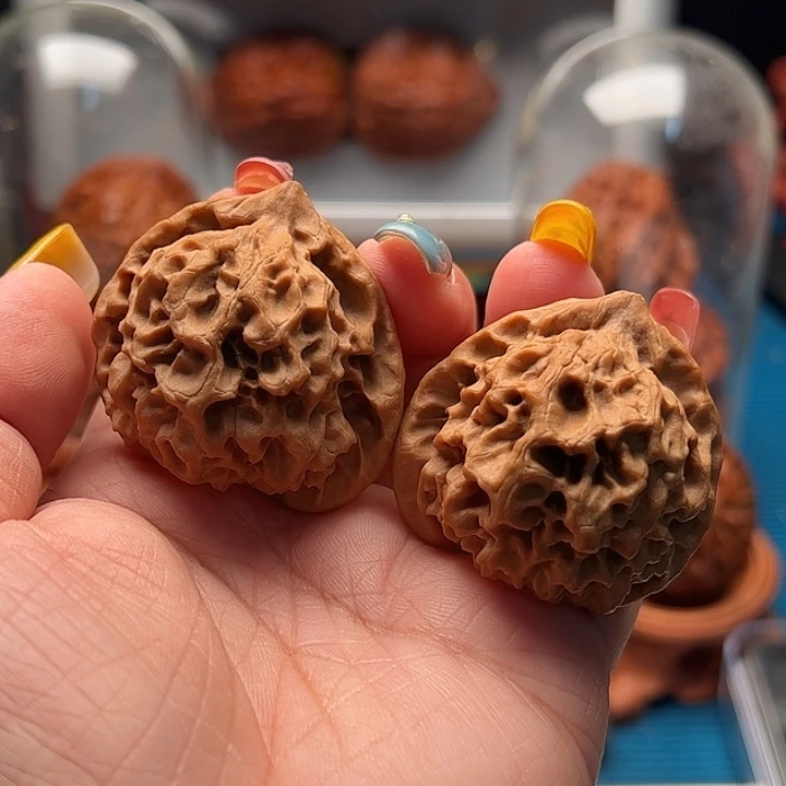 文玩核桃把件玄月 全品