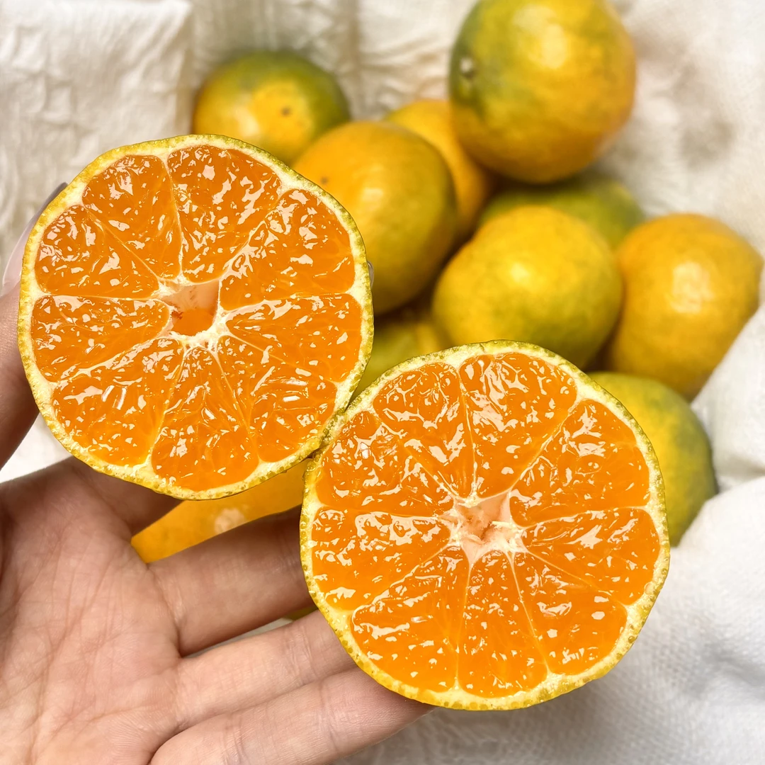 酸甜口蜜桔小时候味道皮薄果肉嫩无籽化渣好橘味浓郁 顺丰