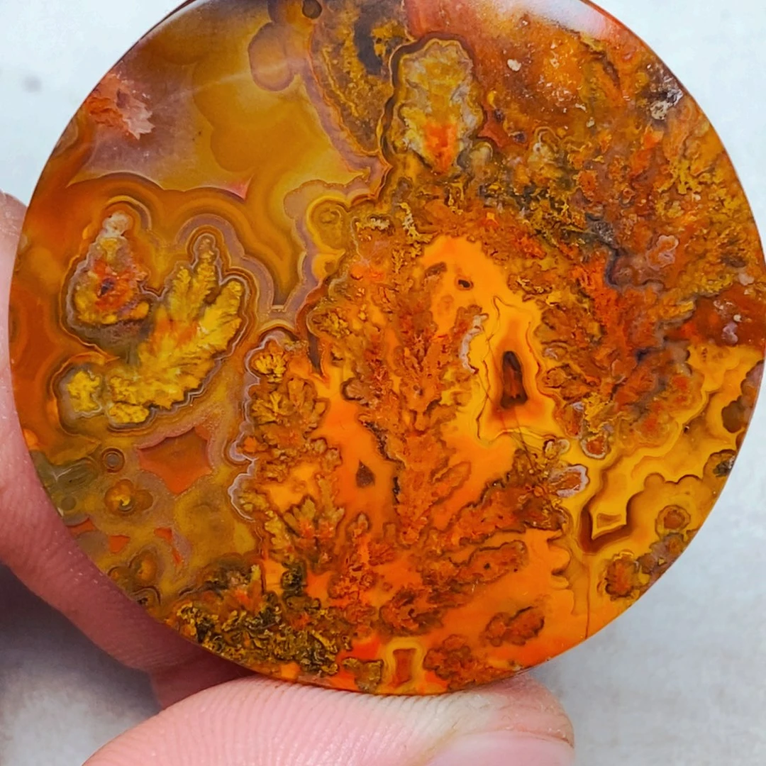 李***发玛瑙/玉髓未镶嵌颈饰