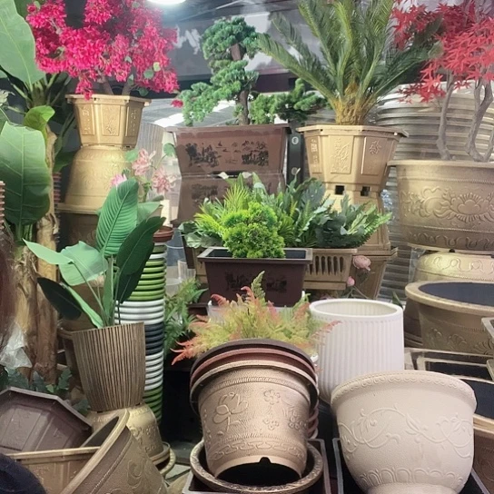 复合盆景制作方法