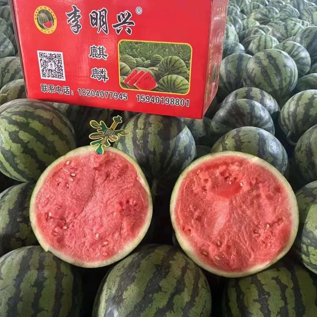 李明兴西瓜一个（7-9斤）